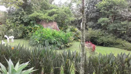 Fazenda/Sítio com 3 Quartos à venda, 2100m² no , Morungaba