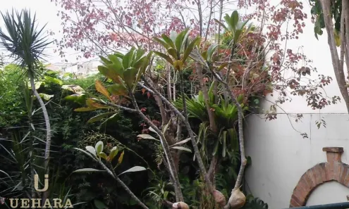 Sobrado com 3 Quartos à venda, 360m² no Vila Santana, São Paulo
