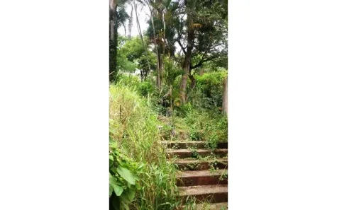 Lote/Terreno à venda, 3000m² no Cidade Patriarca, São Paulo