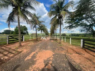 Fazenda/Sítio com 4 Quartos à venda, 300m² no Vila Azul (Zona Rural), São José do Rio Preto