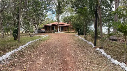 Fazenda/Sítio com 1 Quarto à venda, 333m² no , Itapecuru Mirim