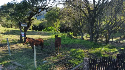 Fazenda/Sítio à venda, 20000m² no Bateias, Campo Largo