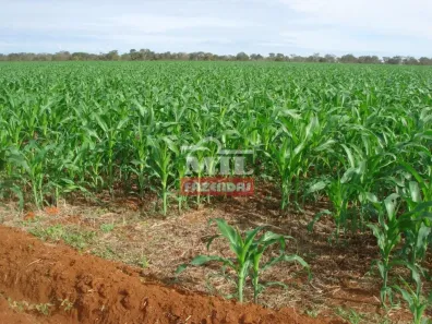 Fazenda/Sítio à venda, 500m² no , Novo Planalto