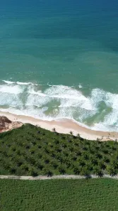 Lote/Terreno à venda, 1120000m² no Joaquim Romão, Jequié