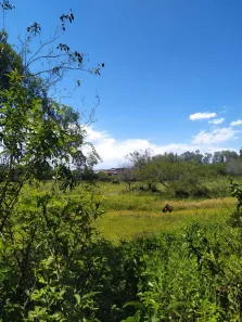Imóvel Comercial à venda, 50000m² no Lomba Grande, Novo Hamburgo