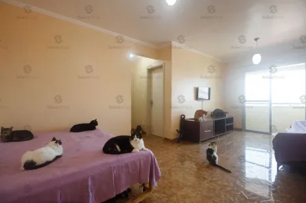 Apartamento com 2 Quartos à venda, 63m² no Santa Terezinha, São Bernardo do Campo
