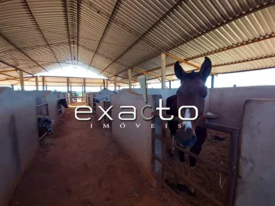 Fazenda/Sítio com 1 Quarto à venda, 1000m² no Jardim Córrego Bonito, Santo Antônio de Posse