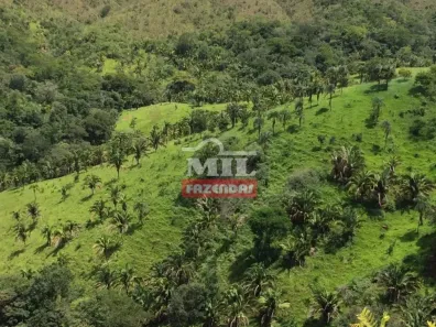 Fazenda/Sítio à venda, 500m² no , Padre Bernardo