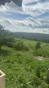 Fazenda/Sítio com 3 Quartos à venda, 387m² no Centro, Pontal do Araguaia