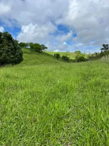 Fazenda/Sítio com 3 Quartos à venda, 8000m² no , Flexeiras