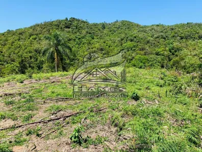 Lote/Terreno à venda, 214127m² no , Angelina