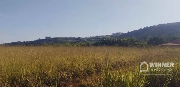 Fazenda/Sítio com 1 Quarto à venda, 1000m² no Jardim Colina Verde, Maringá