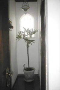 Casa com 2 Quartos à venda, 884m² no Vila Monumento, São Paulo