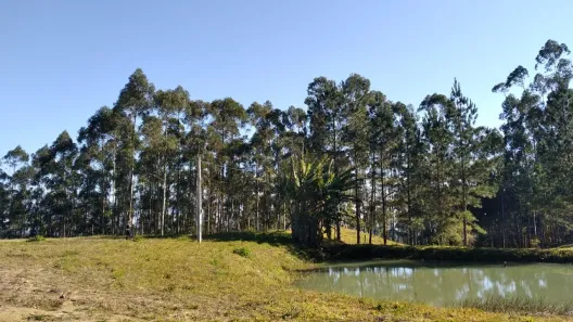 Fazenda/Sítio à venda, 220786m² no , Vidal Ramos