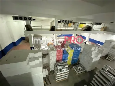Prédio Comercial à venda, 3500m² no Brás, São Paulo