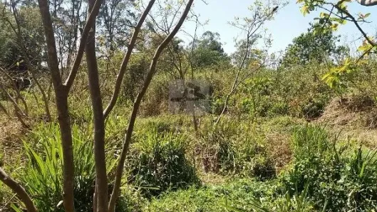 Lote/Terreno à venda, 1m² no Ipelândia, Suzano