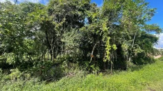 Lote/Terreno à venda, 260m² no , Itanhaém