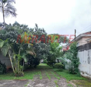 Lote/Terreno à venda, 600m² no Vila Isolina Mazzei, São Paulo