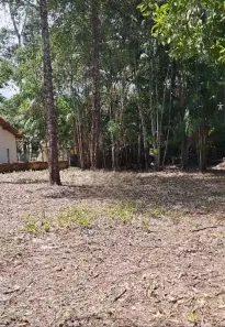 Lote/Terreno à venda, 1250m² no Canutama, Benevides