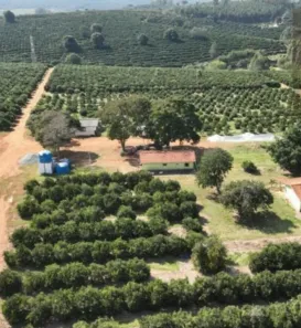 Fazenda/Sítio à venda, 411400000m² no , Angatuba