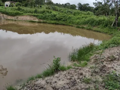 Lote/Terreno à venda, 20000m² no , Fortuna de Minas