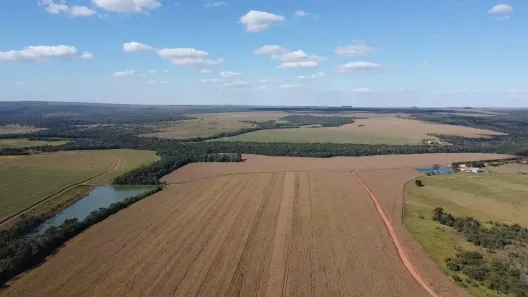 Fazenda/Sítio com 5 Quartos à venda, 1210m² no , Campo Verde
