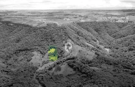 Lote/Terreno à venda, 20020m² no São Luiz do Purunã, Balsa Nova