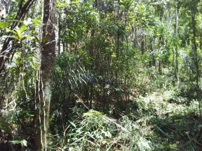 Lote/Terreno à venda, 1140m² no Roseira, Mairiporã