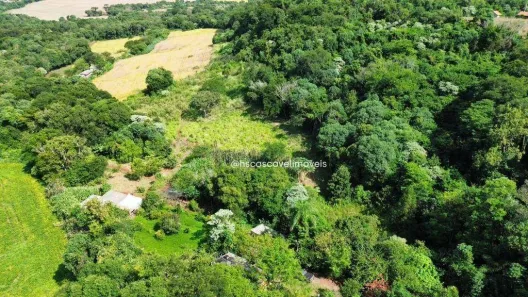 Fazenda/Sítio à venda, 48400m² no São Salvador, Cascavel