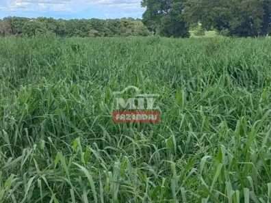 Fazenda/Sítio à venda, 2600m² no , Flores de Goiás