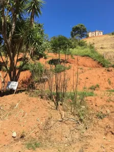 Lote/Terreno à venda, 1000m² no , Santo Antônio do Pinhal