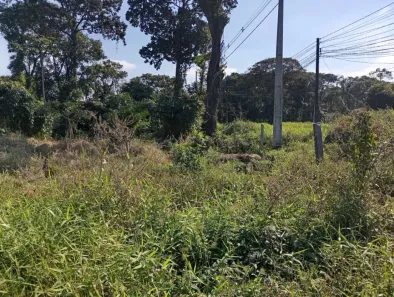Lote/Terreno à venda, 720m² no Praia do Ervino, São Francisco do Sul