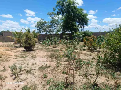Fazenda/Sítio com 2 Quartos à venda, 1m² no , São Sebastião do Passé