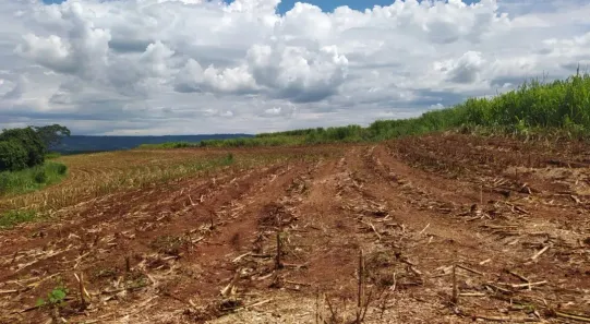 Fazenda/Sítio à venda, 423500m² no , Monte Santo de Minas