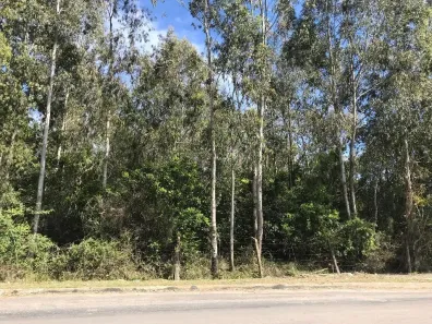 Lote/Terreno à venda, 24755m² no Nossa Senhora das Graças, Caxias do Sul
