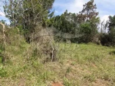 para alugar, 418m² no Águas Claras, Viamão