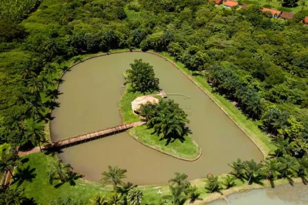 Lote/Terreno à venda, 1500m² no Fazenda Santa Maria, Cravinhos