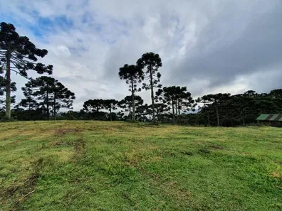 Fazenda/Sítio à venda, 20000m² no , Urubici