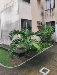 Apartamento com 2 Quartos à venda, 45m² no Benedito Bentes, Maceió