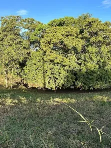 Fazenda/Sítio à venda, 2098m² no Cardeal, Elias Fausto