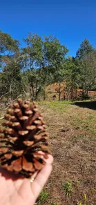 Lote/Terreno à venda, 500m² no Jardim Vitória, Mairinque