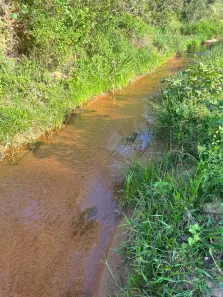 Fazenda/Sítio à venda, 1m² no Japira, Linhares