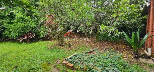 Lote/Terreno à venda, 803m² no Canudos, Novo Hamburgo