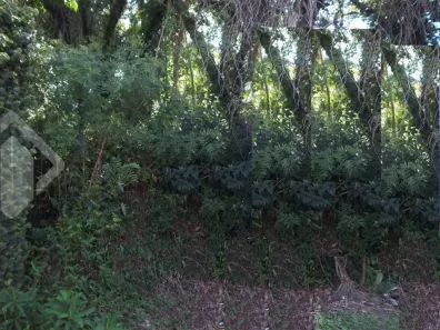 Lote/Terreno à venda, 506m² no Cristo Rei, São Leopoldo