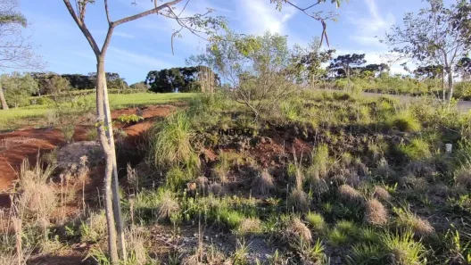 Lote/Terreno à venda, 450m² no Tuiuti, Bento Gonçalves