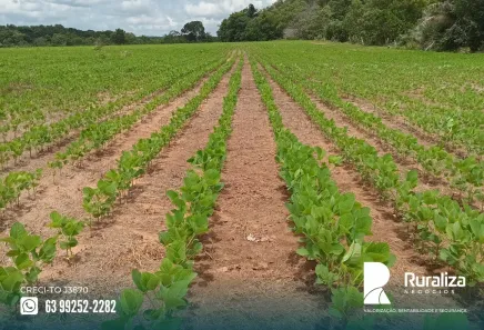 Fazenda/Sítio à venda, 822m² no , Barra do Ouro