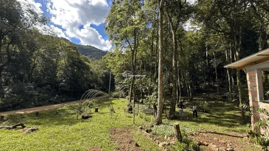 Fazenda/Sítio à venda, 20000m² no Santa Terezinha, Canela