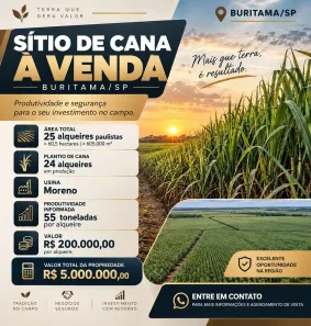 Fazenda/Sítio à venda, 12443000m² no Centro, Buritama