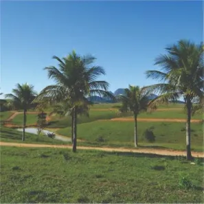 Lote/Terreno à venda, 360m² no Residencial Camping do Bosque, Rio das Ostras