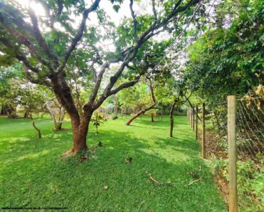 Fazenda/Sítio com 6 Quartos à venda, 373m² no Sitios para Recreio Solar das Auroras, Senador Canedo